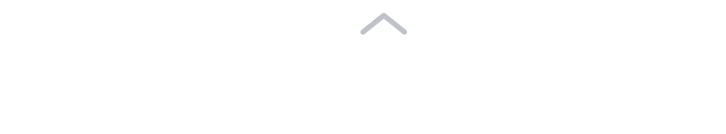 Zero Limits Consulting Logo